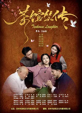 婚姻攻略 电视剧