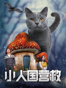 91视频专区