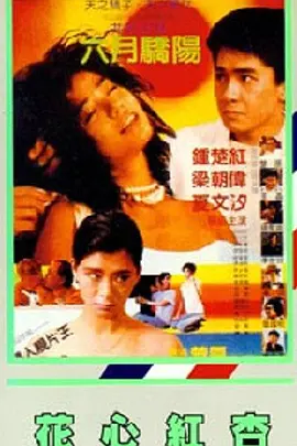 99久久精品国产一区