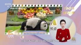 忘穿奶罩被同桌c了一节课